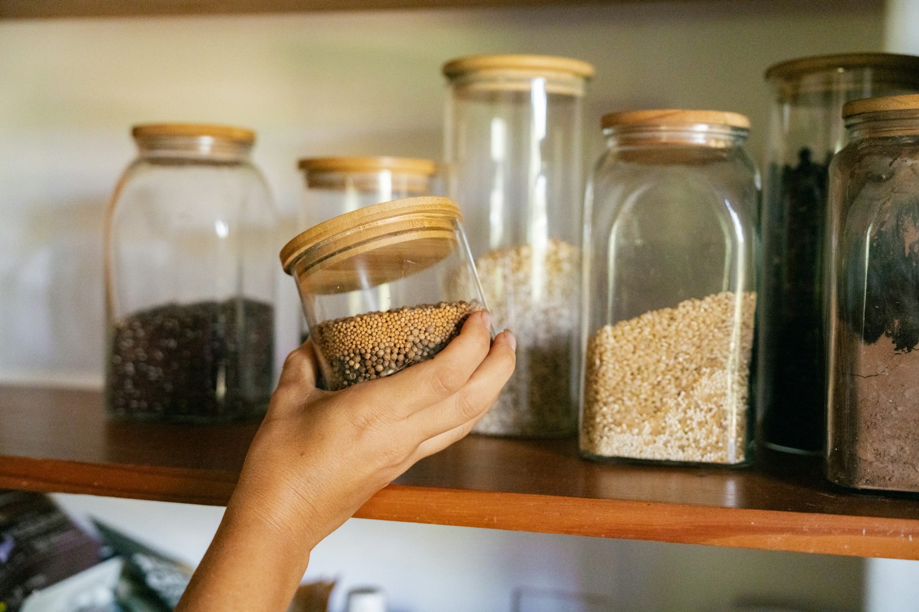 Selección de especias naturales para pautas nutricionales