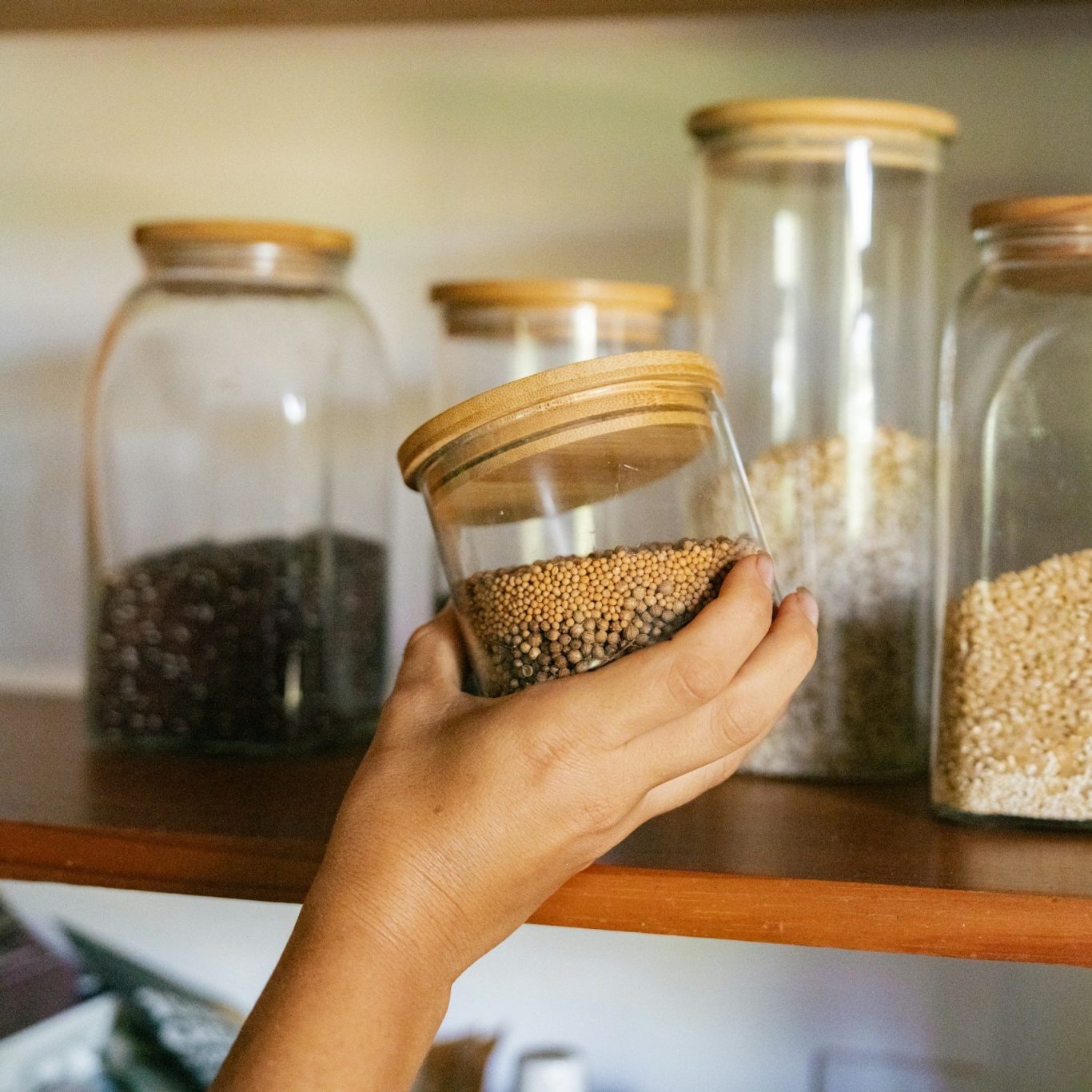 Selección de especias y botánica natural para nutrición ayurvédica integrativa